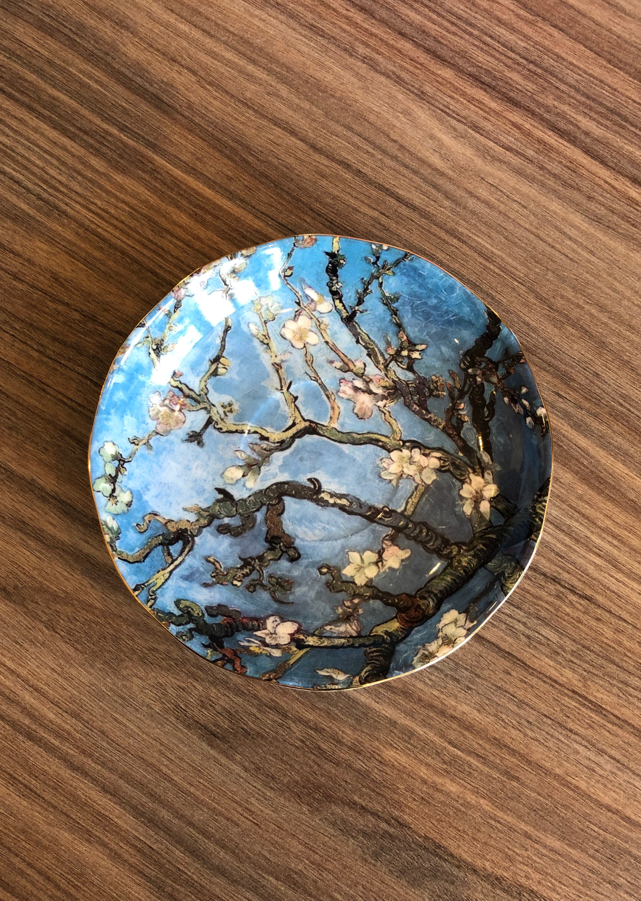 Taza Raíces
